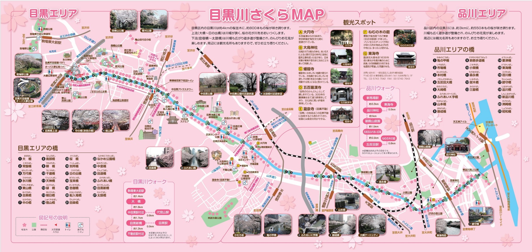 東京都内屈指のお花見の名所『目黒川』。 食べて飲んで楽しい・桜を見て楽しい。 先日昼・夜とお花見へ行ってきたので分かりやすくまとめてみました!
