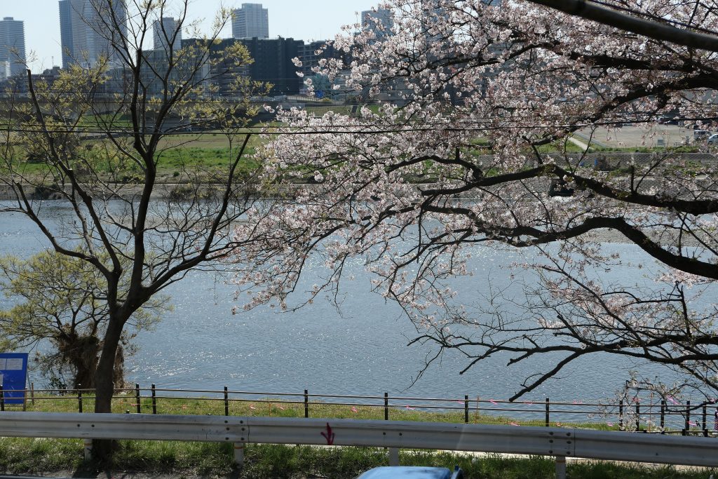多摩川や桜・夜景・電車を眺めながら絶品ローストビーフを！    『多摩川ダイナー（TAMAGAWA DINER）』へランチに行ってきました！