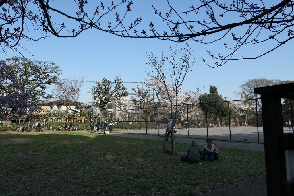 多摩川駅目の前に位置する自然あふれる「田園調布せせらぎ公園」へ行ってきました。    子供と一緒に家族でピクニックも気軽に行くことができますよ。