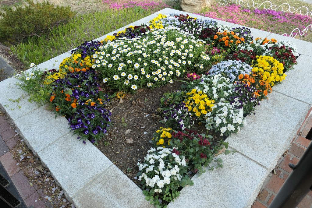 東急東横線・東急多摩川線「多摩川駅」近くの「多摩川台公園」へお花見と散策に行ってきました。    今回はお花見に最適な場所・ポイントとその他園内の見どころをまとめました！
