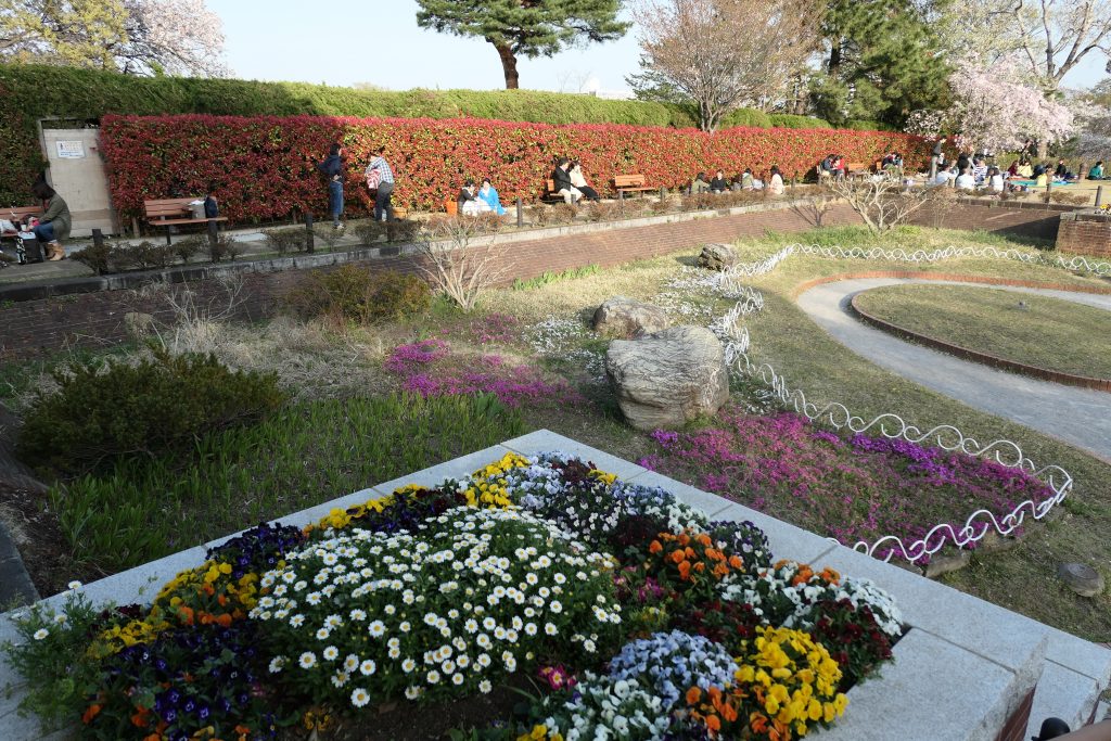東急東横線・東急多摩川線「多摩川駅」近くの「多摩川台公園」へお花見と散策に行ってきました。    今回はお花見に最適な場所・ポイントとその他園内の見どころをまとめました！