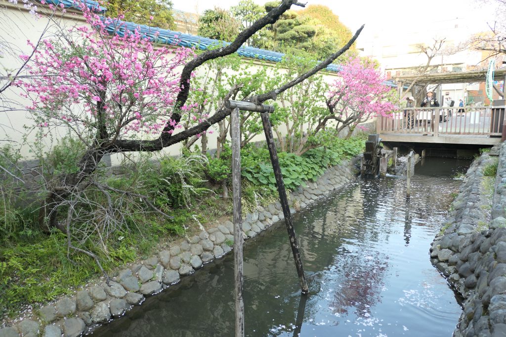 沼部駅の近くは「桜坂」だけじゃないんです！    魅力いっぱいの「六郷用水の跡」をたくさんの写真付きでレビューしたいと思います。