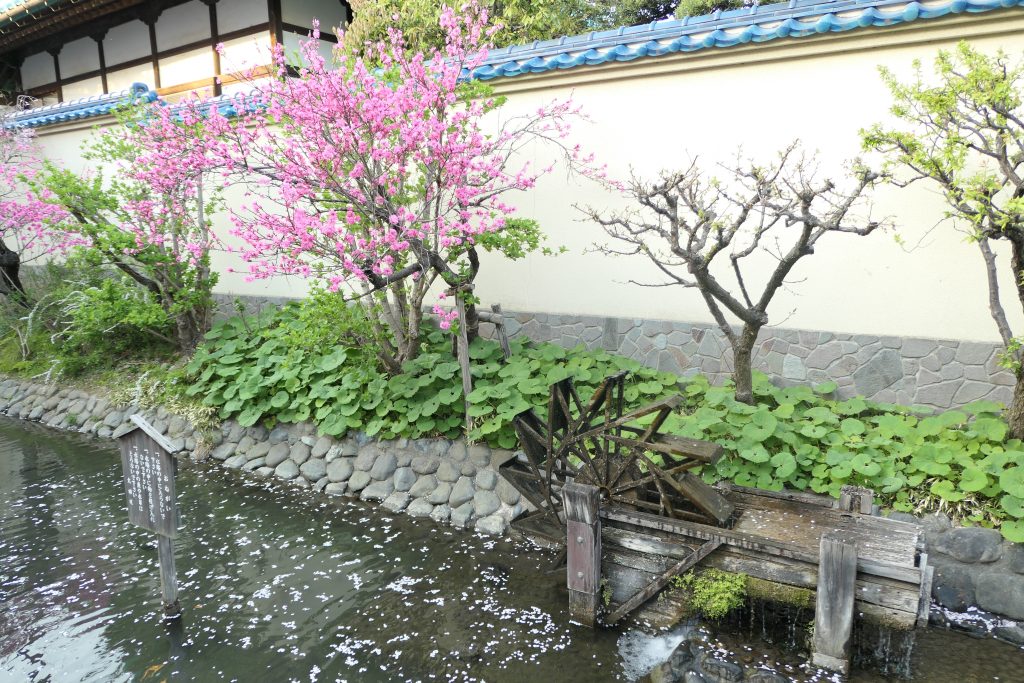 沼部駅の近くは「桜坂」だけじゃないんです！    魅力いっぱいの「六郷用水の跡」をたくさんの写真付きでレビューしたいと思います。